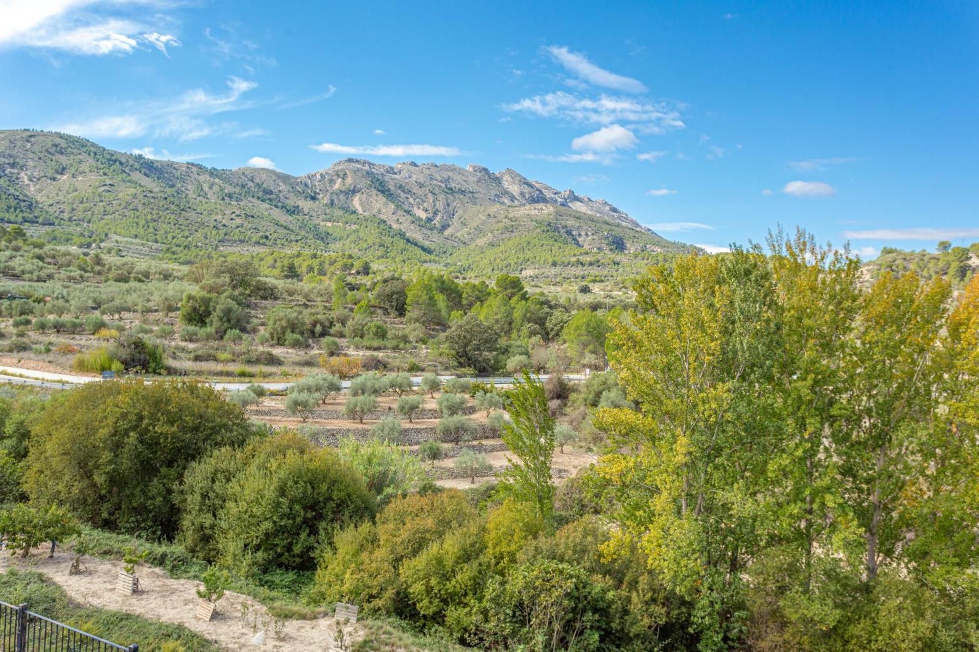 Hotel Rural Serrella Castell De Castells Dış mekan fotoğraf